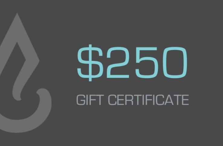 $250 Gift Voucher